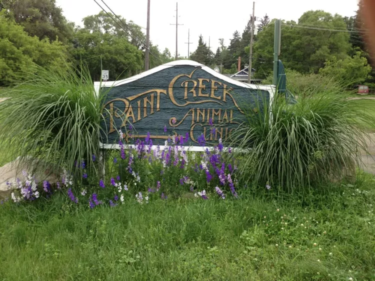 Paint Creek Animal Clinic, Michigan, Rochester